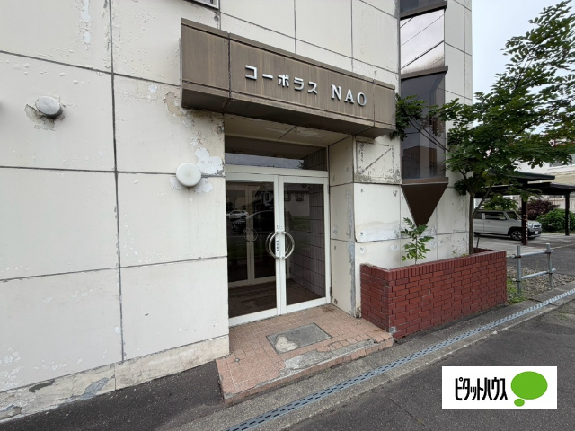 コーポラスNAOの外観写真