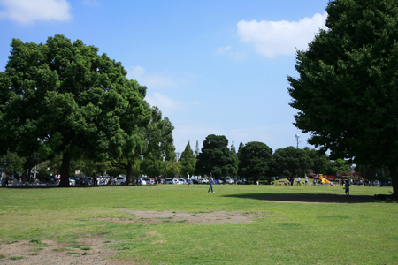 公園　大師公園（公園）まで565m