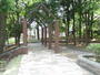 公園　大塚公園（公園）まで175m