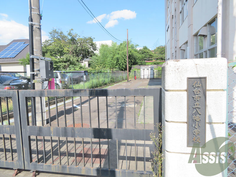 小学校　仙台市立八幡小学校（小学校）まで459m