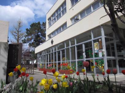 小学校　中央小学校（小学校）まで982m