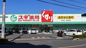 ドラックストア　スギ薬局和光店（ドラッグストア）まで1010m