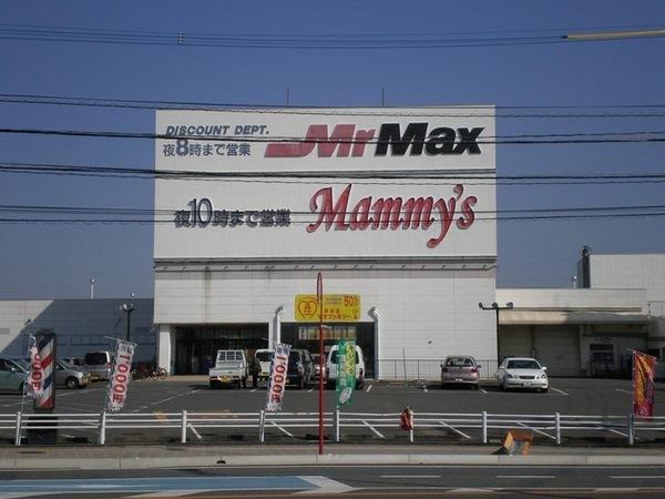 ホームセンター　MrMax久留米インター店（ホームセンター）まで396m