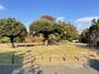 公園　中目黒公園（公園）まで556m