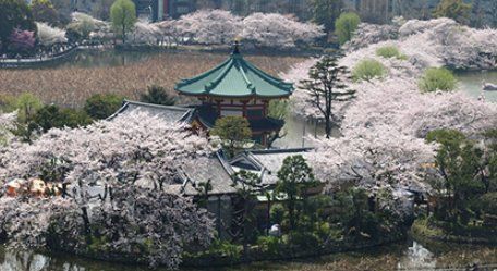 公園　東京都上野恩賜公園（公園）まで1640m
