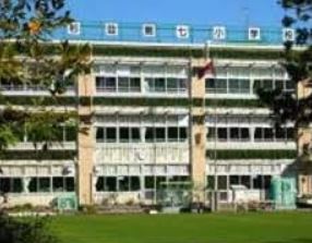 小学校　杉並区立杉並第七小学校（小学校）まで677m