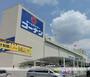 ホームセンター　コーナン石津店（ホームセンター）まで875m