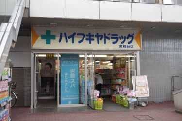 ドラックストア　ハイフキヤドラッグ　宮崎台駅前店（ドラッグストア）まで393m