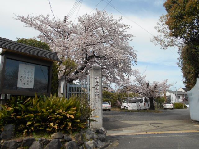 その他　中央仏教学院（その他）まで497m