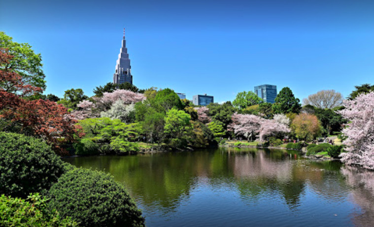 公園　新宿御苑(千駄ヶ谷門)（公園）まで335m