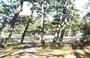 公園　千本公園（公園）まで1200m