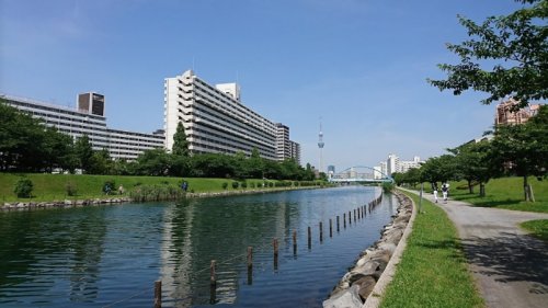 公園　亀戸九丁目緑道公園（公園）まで480m
