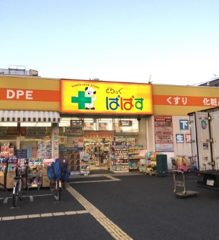 ドラックストア　どらっぐ ぱぱす 柴又3丁目店（ドラッグストア）まで2200m