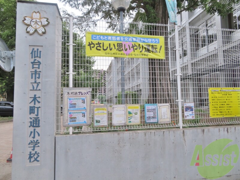 小学校　仙台市立木町通小学校（小学校）まで364m