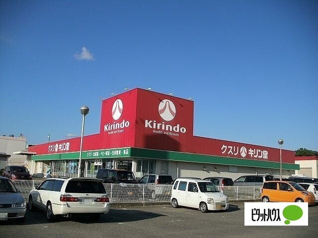 ドラックストア　キリン堂鴨島店（ドラッグストア）まで1345m