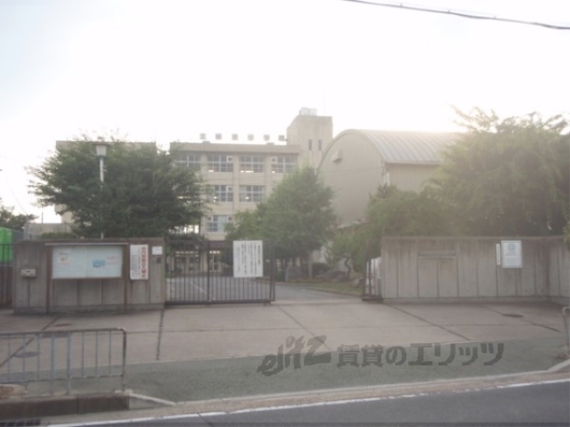 小学校　北槙島小学校（小学校）まで370m