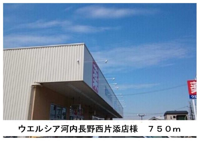 ドラックストア　ウエルシア河内長野西片添店（ドラッグストア）まで750m