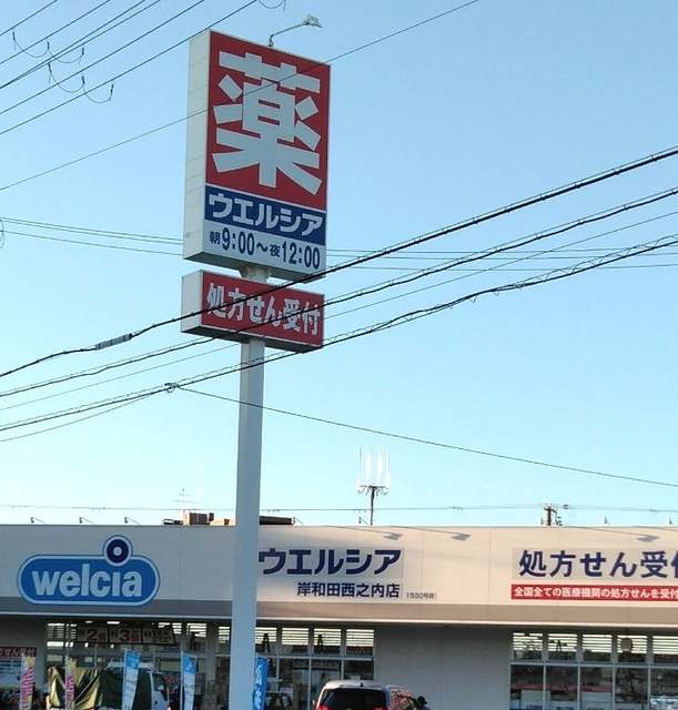 ドラックストア　ウエルシア岸和田西之内店（ドラッグストア）まで422m