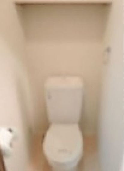トイレ　※同仕様写真含む