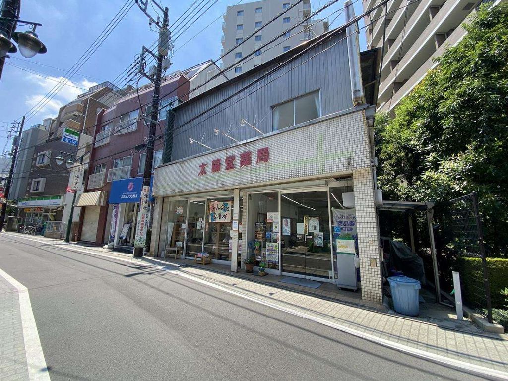 ドラックストア　太陽堂薬局（ドラッグストア）まで740m