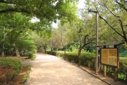 公園　駒場野公園（公園）まで400m