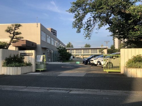 小学校　豊橋市立松葉小学校（小学校）まで271m