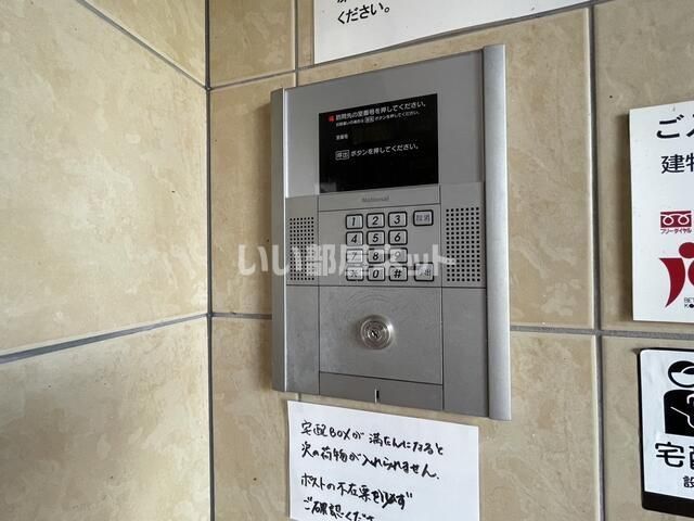 ロイヤルサクセスのその他写真