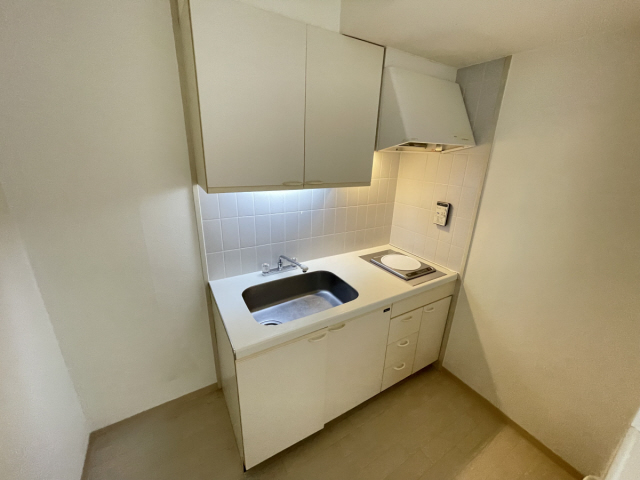 イーストコート2番街のキッチン写真