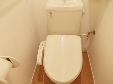 ノイ・ブリーゼIIのトイレ写真
