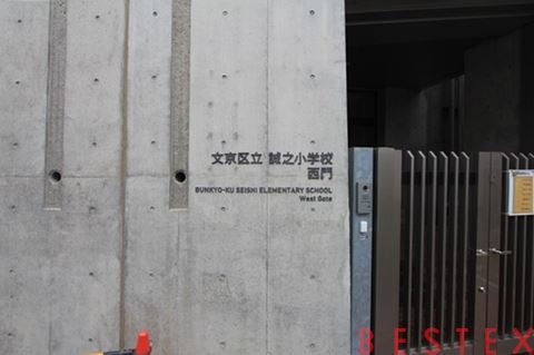 小学校　文京区立誠之小学校（小学校）まで587m