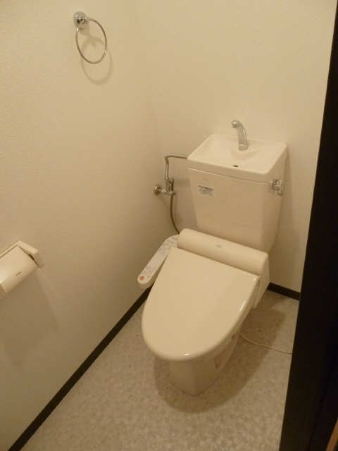 フェリースのトイレ写真