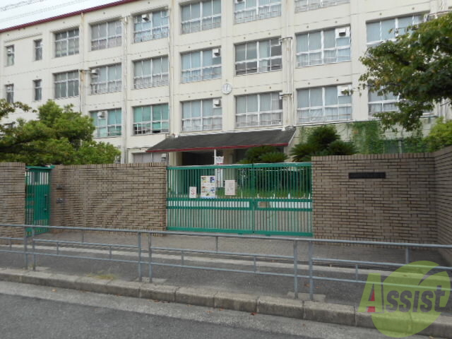 小学校　豊里南小学校（小学校）まで233m