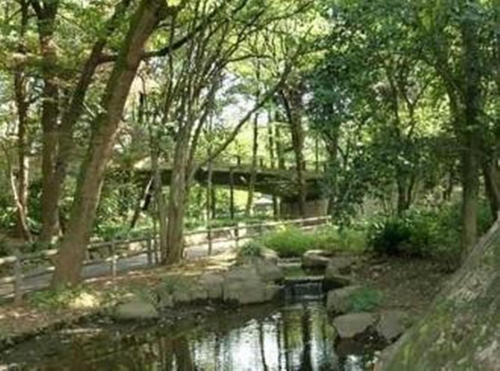 公園　林試の森公園（公園）まで1469m