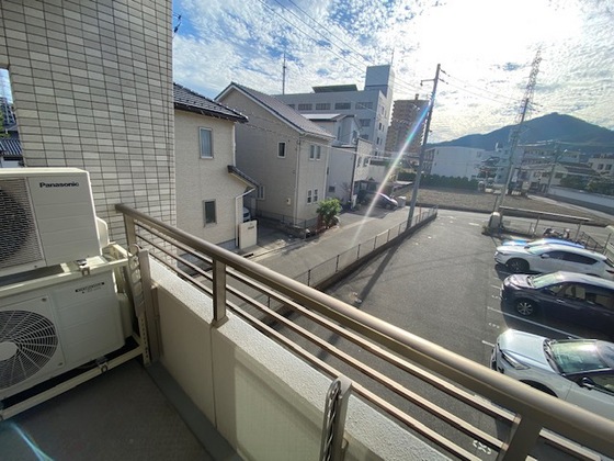 エバーグリーンのその他写真
