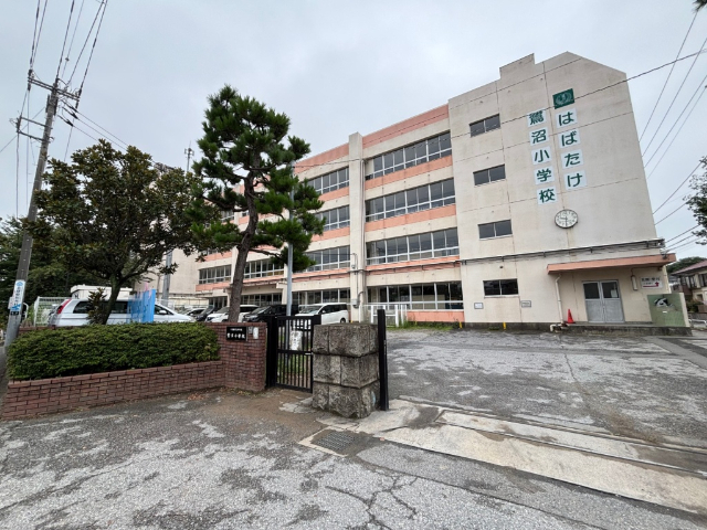 小学校　習志野市立鷺沼小学校（小学校）まで1181m