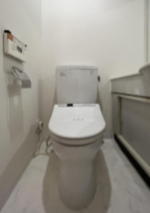 トイレ　トイレ※別部屋参考写真