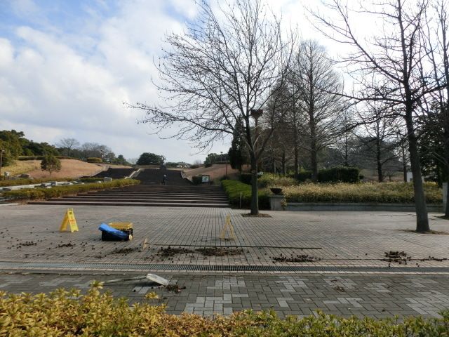 公園　青葉の森公園（公園）まで600m