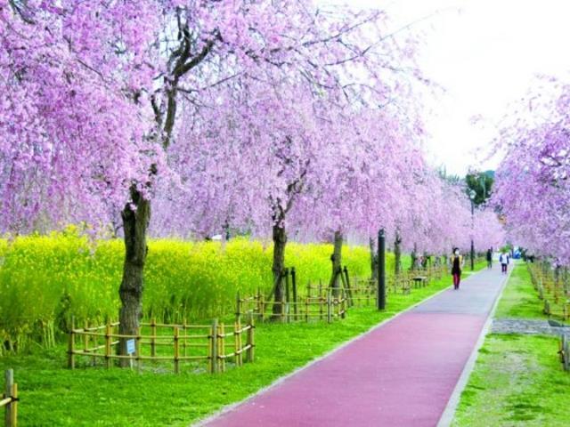 【グリーンハイツ田村の公園】