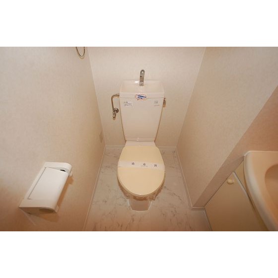 トイレ　※同タイプ別部屋のお写真です。現況優先です。