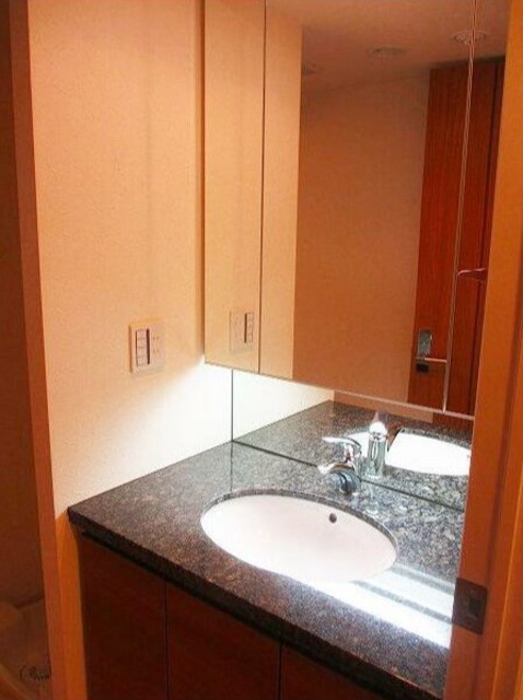 洗面設備　参考写真