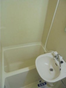 バス・シャワールーム　他号室の写真になります。