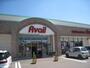 ショッピングセンター　アベイル北見メッセ店（ショッピングセンター）まで1488m