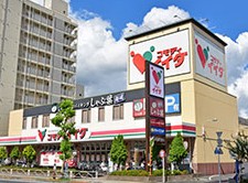 スーパー　コモディイイダ東向島店（スーパー）まで151m