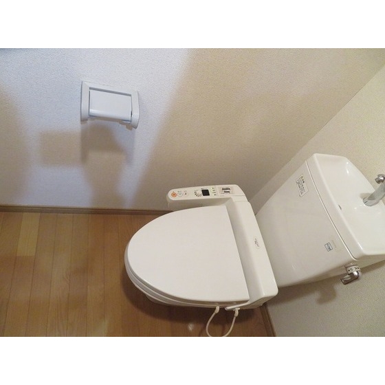 トイレ　トイレも気になるポイント