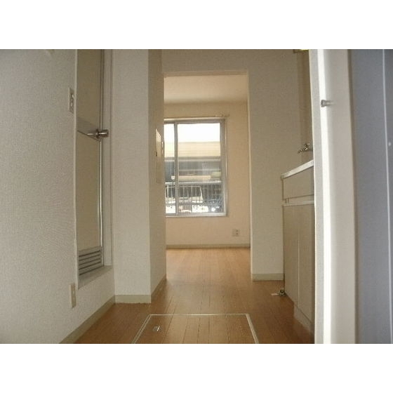 その他部屋・スペース　玄関からお部屋に向けて