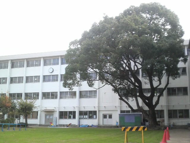 小学校　泉大津市立 穴師小学校（小学校）まで1084m