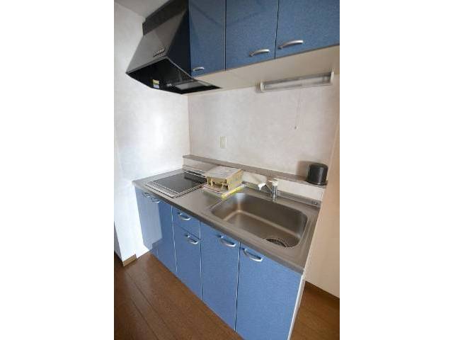 キッチン　IH２口システムです