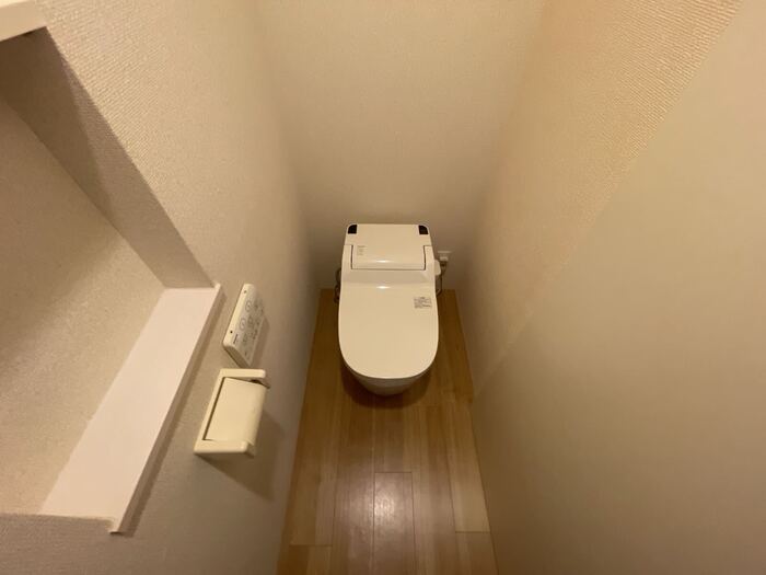 NAPICAのトイレ写真