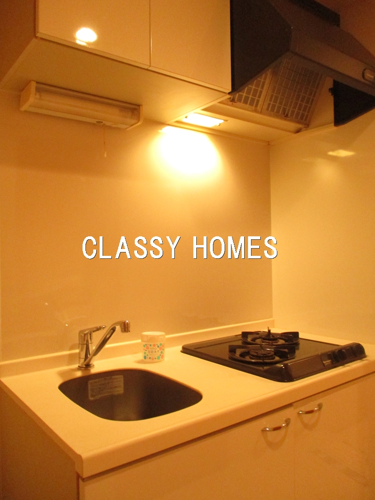 キッチン　2008年竣工　分譲賃貸マンション：キッチン