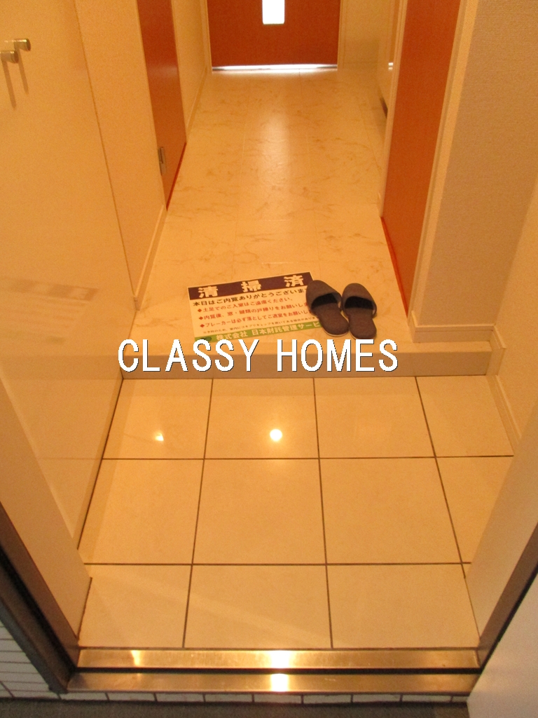 玄関　2008年竣工　分譲賃貸マンション：玄関